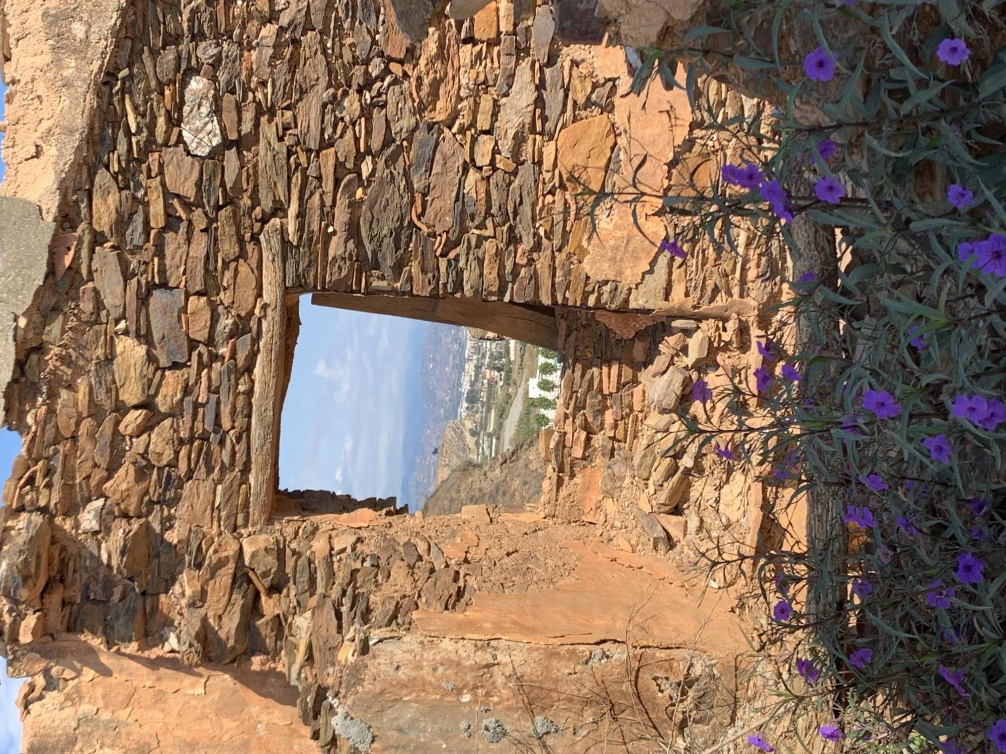 El Oasis De Los Jarales - Malaga — Fotos 3